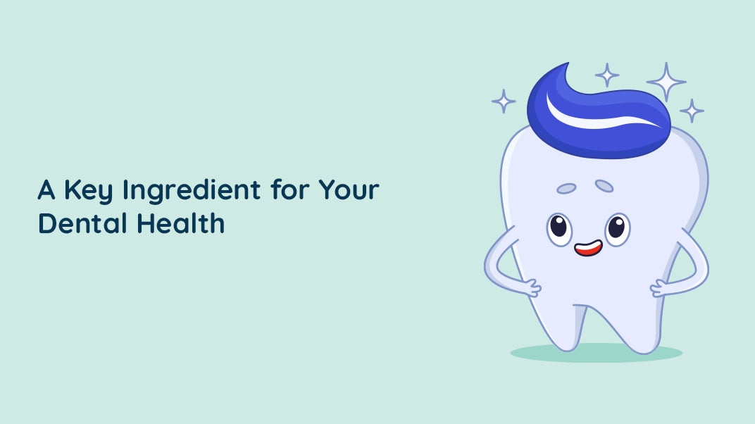 Using Tartar Control Toothpaste For Healthy Teeth And Gums