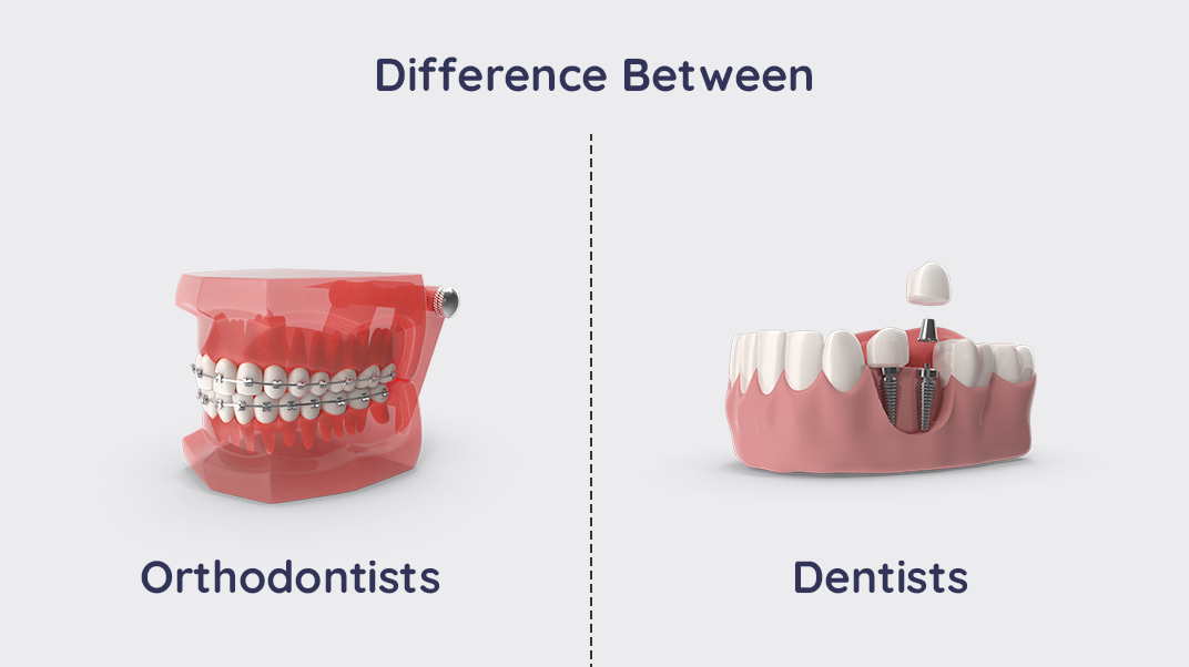 Orthodontists vs Dentists. Understanding The Difference