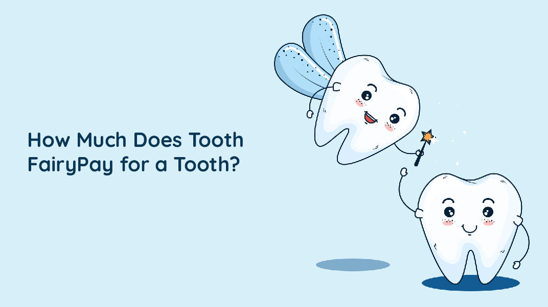 How Much Does the Tooth Fairy Pay For a Tooth?