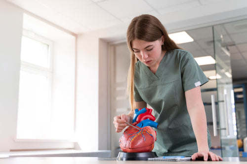 Understanding the Mechanisms Linking Periodontitis and Heart Disease