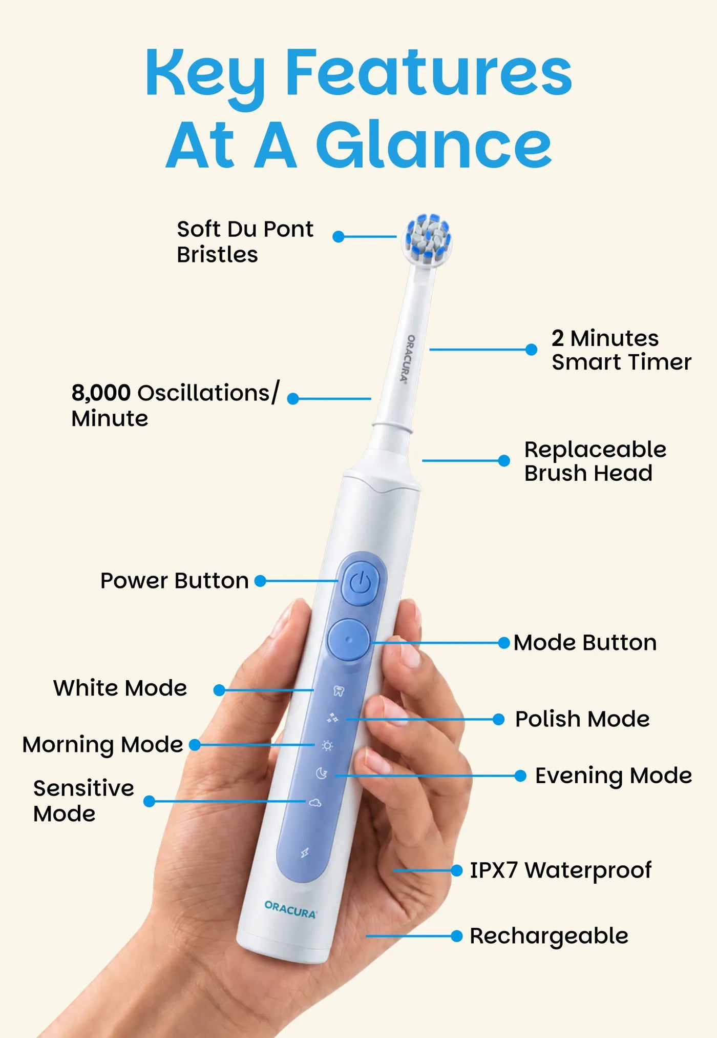 Key features of OB200 OptimalCare Oscillating Rechargeable Electric Toothbrush